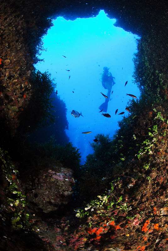 Campeonato de Espa&ntilde;a 2011 de Fotograf&iacute;a Submarina